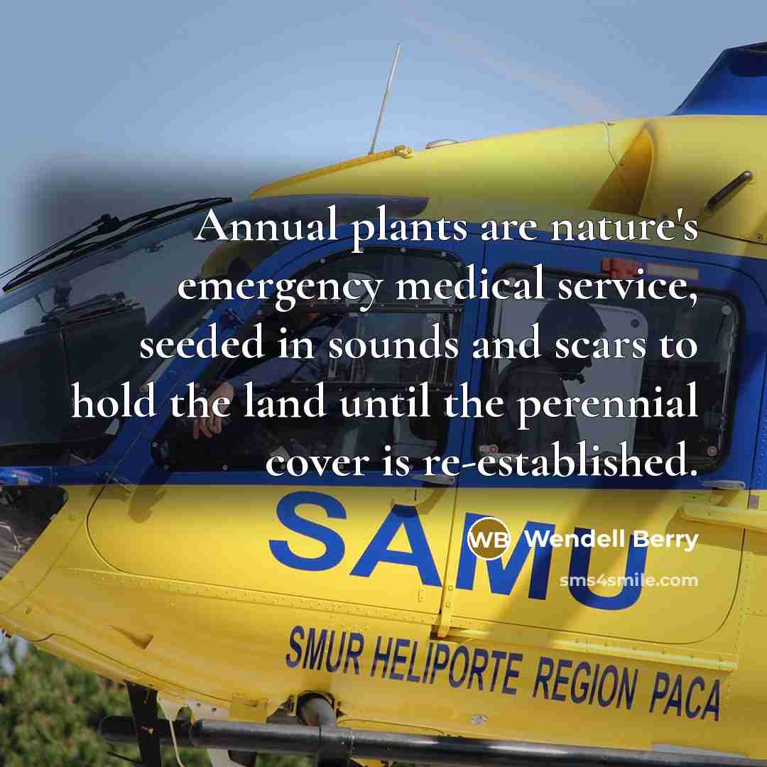 “Annual plants are nature's emergency medical service, seeded in sounds…” quote by Wendell Berry
