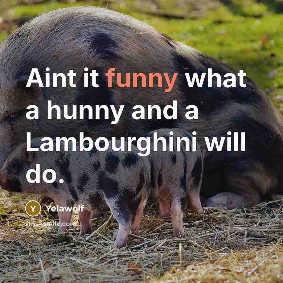 “Aint it funny what a hunny and a Lambourghini will…” quote by Yelawolf