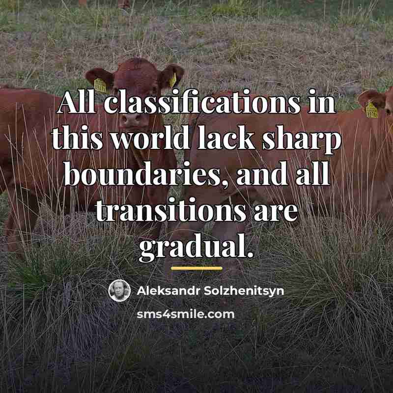 “All classifications in this world lack sharp boundaries, and all…” quote by Aleksandr Solzhenitsyn
