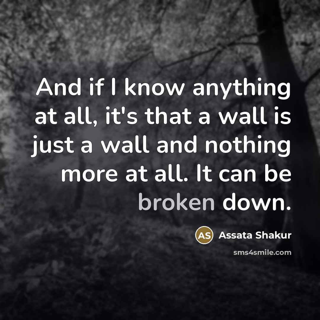 “And if I know anything at all, it's that a…” quote by Assata Shakur