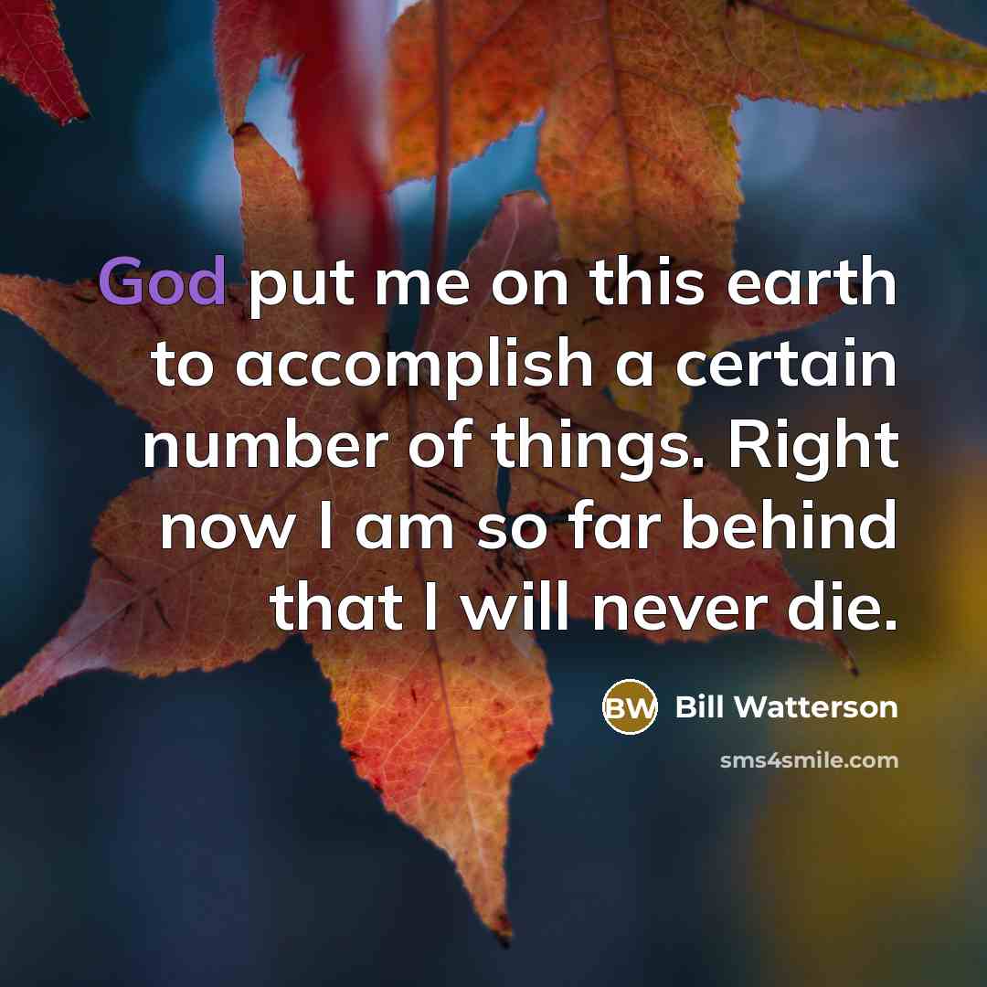 “God put me on this earth to accomplish a certain…” quote by Bill Watterson
