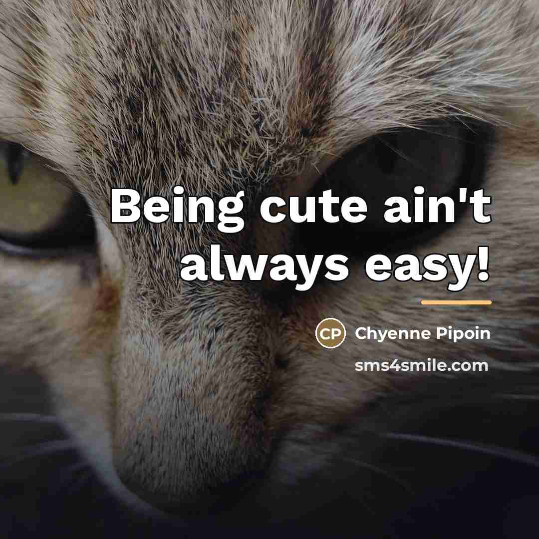 “Being cute ain't always easy!…” quote by Chyenne Pipoin