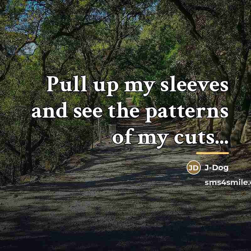 “Pull up my sleeves and see the patterns of my…” quote by J-Dog