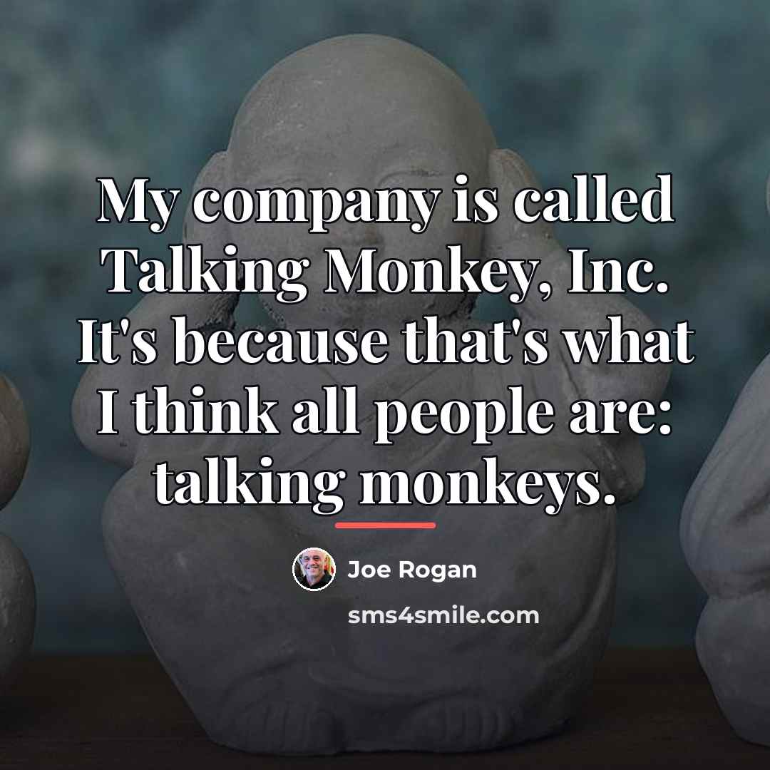 “My company is called Talking Monkey, Inc. It's because that's…” quote by Joe Rogan