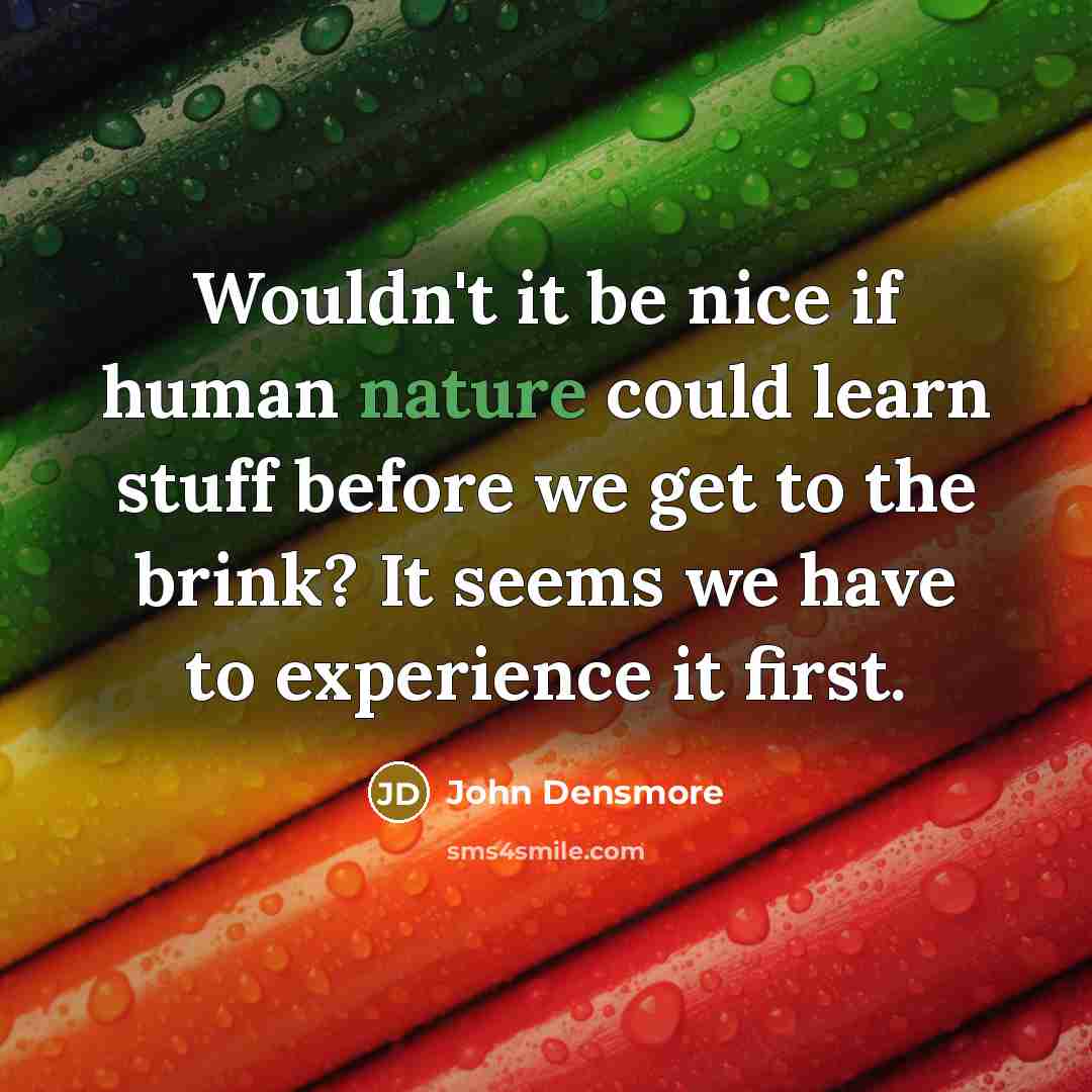 “Wouldn't it be nice if human nature could learn stuff before we get to the brink? It seems we have to experience it first.” quote by John Densmore