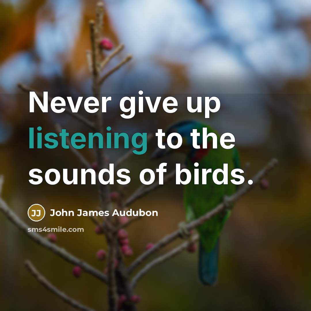 “Never give up listening to the sounds of birds.…” quote by John James Audubon
