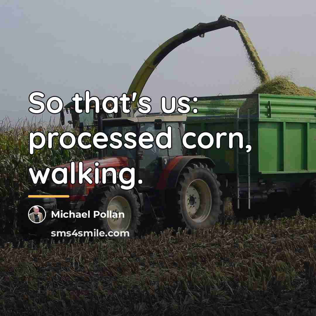 “So that's us: processed corn, walking.…” quote by Michael Pollan