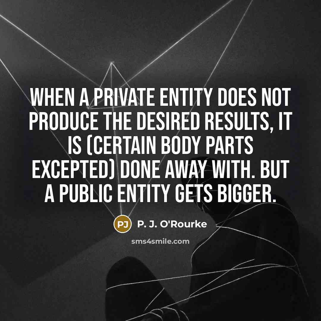 “When a private entity does not produce the desired results,…” quote by P. J. O'Rourke