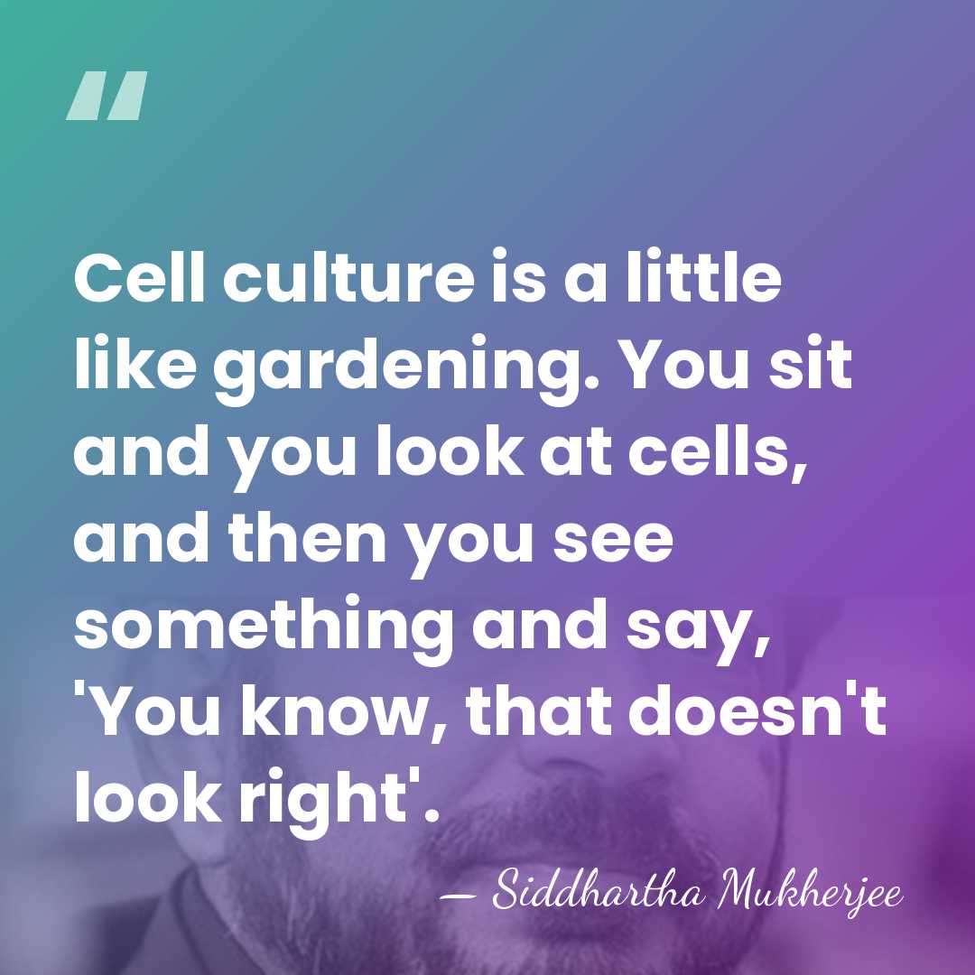 Cell culture is a little like gardening. You sit and you look&hellip; - Siddhartha Mukherjee
