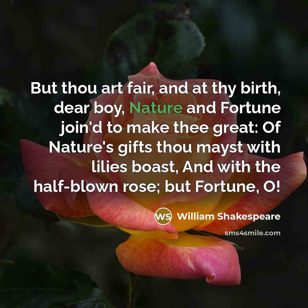 “But thou art fair, and at thy birth, dear boy,…” quote by William Shakespeare