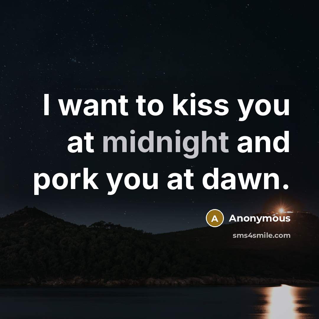 “I want to kiss you at midnight and pork you…” quote by Anonymous