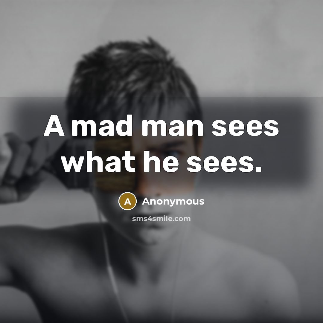 “A mad man sees what he sees.…” quote by Anonymous
