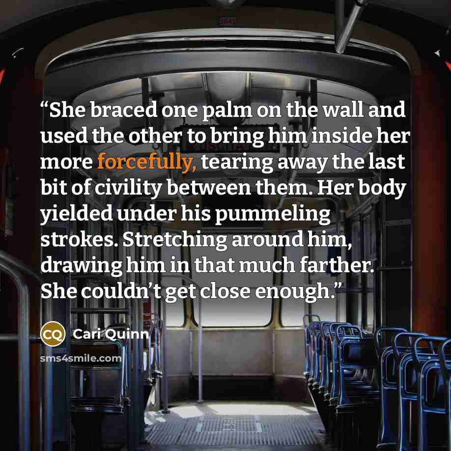 “She braced one palm on the wall and used the other to bring him inside her more forcefully, tearing away the last bit of civility between them. Her body yielded under his pummeling strokes. Stretching around him, drawing him in that much farther. She couldn’t get close enough.” quote by Cari Quinn