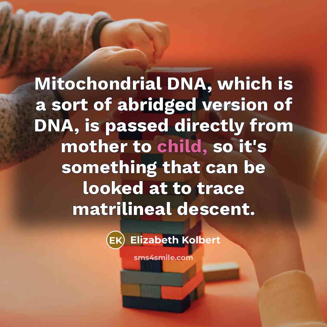 “Mitochondrial DNA, which is a sort of abridged version of…” quote by Elizabeth Kolbert