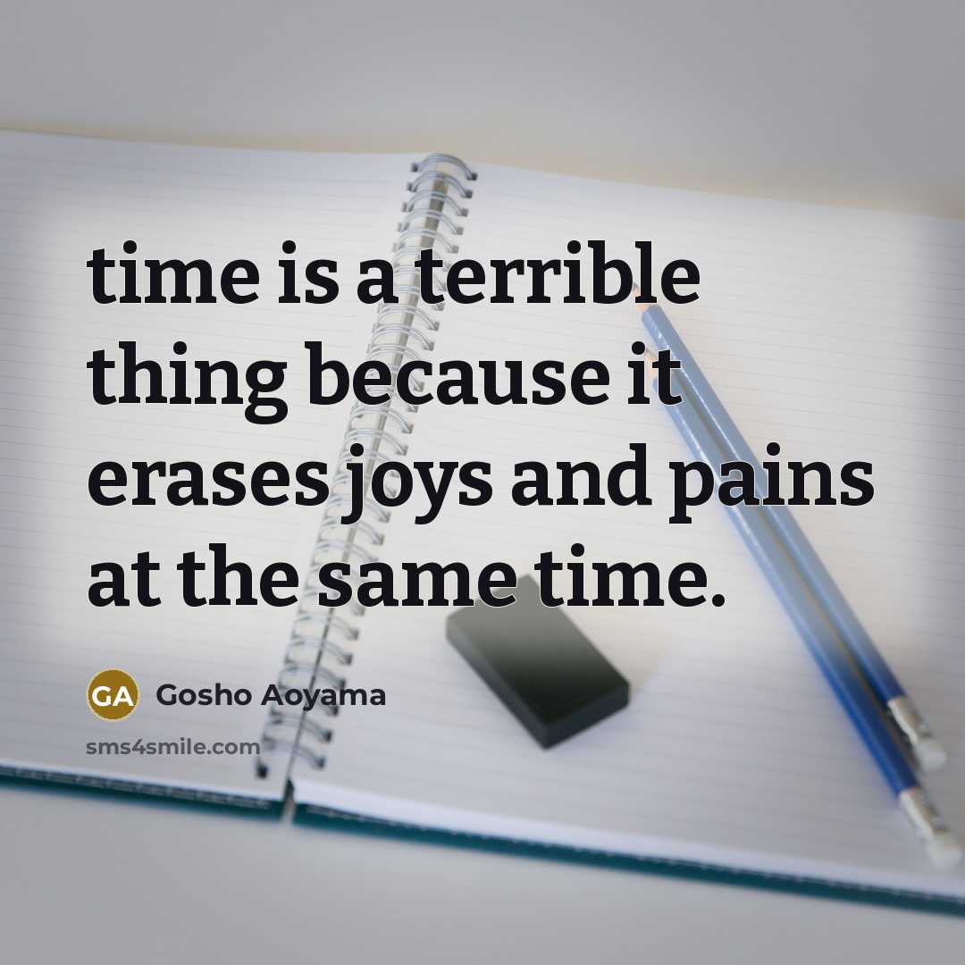 “time is a terrible thing because it erases joys and…” quote by Gosho Aoyama