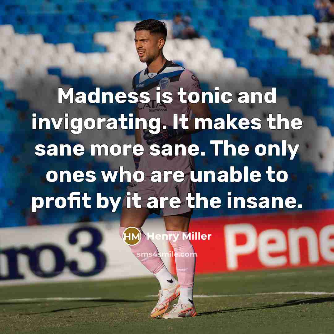 “Madness is tonic and invigorating. It makes the sane more…” quote by Henry Miller