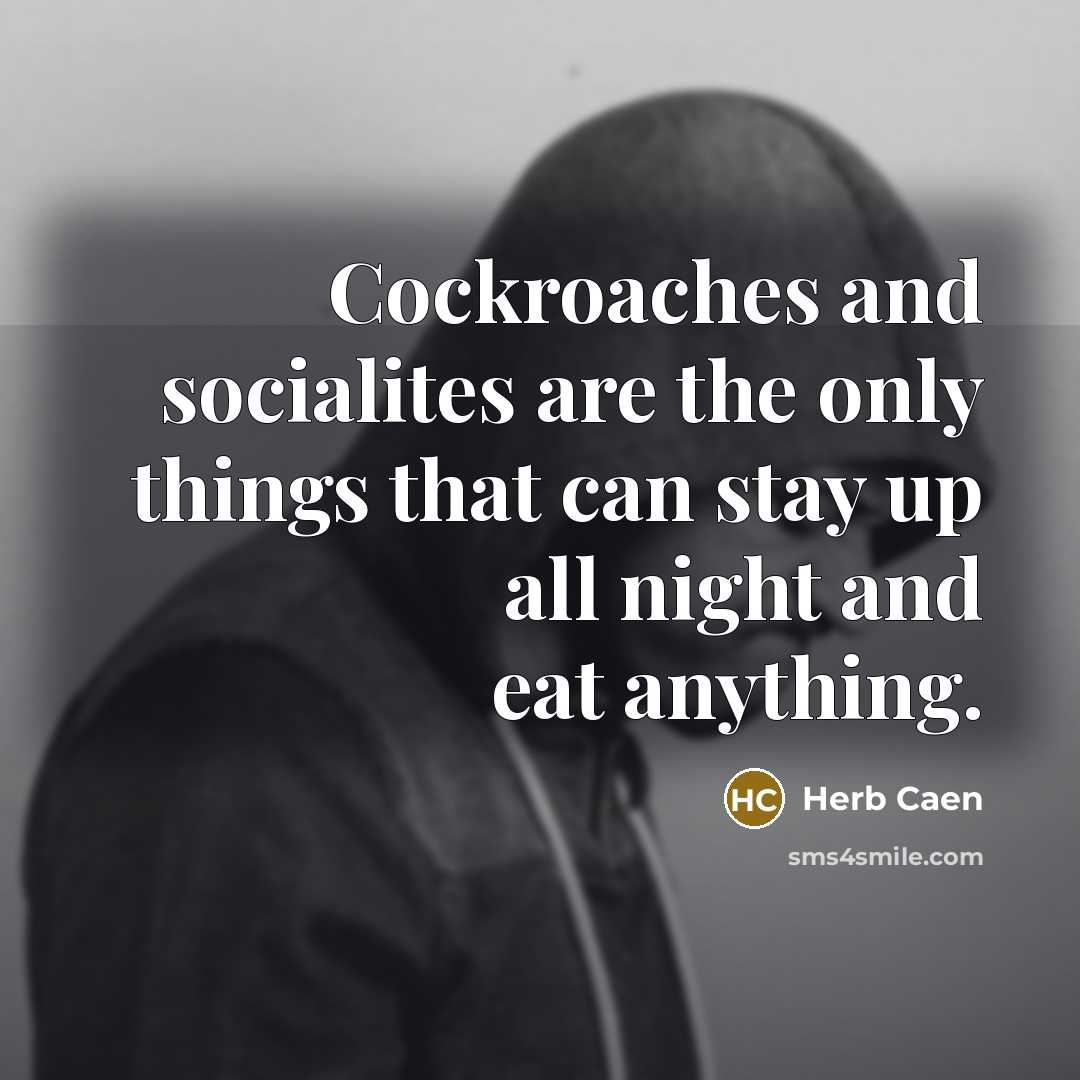 “Cockroaches and socialites are the only things that can stay…” quote by Herb Caen