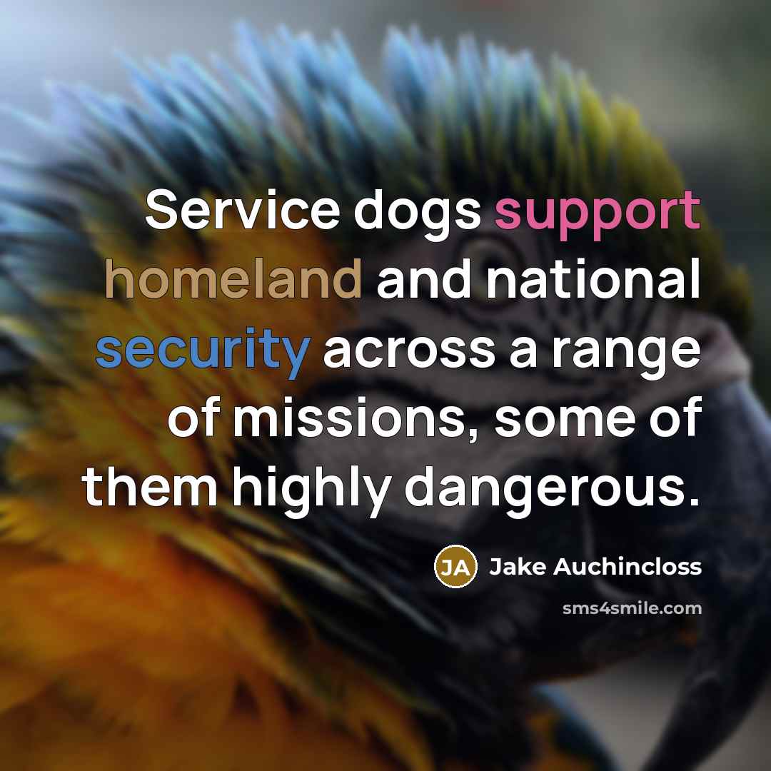 “Service dogs support homeland and national security across a range of missions, some of them highly dangerous.” quote by Jake Auchincloss