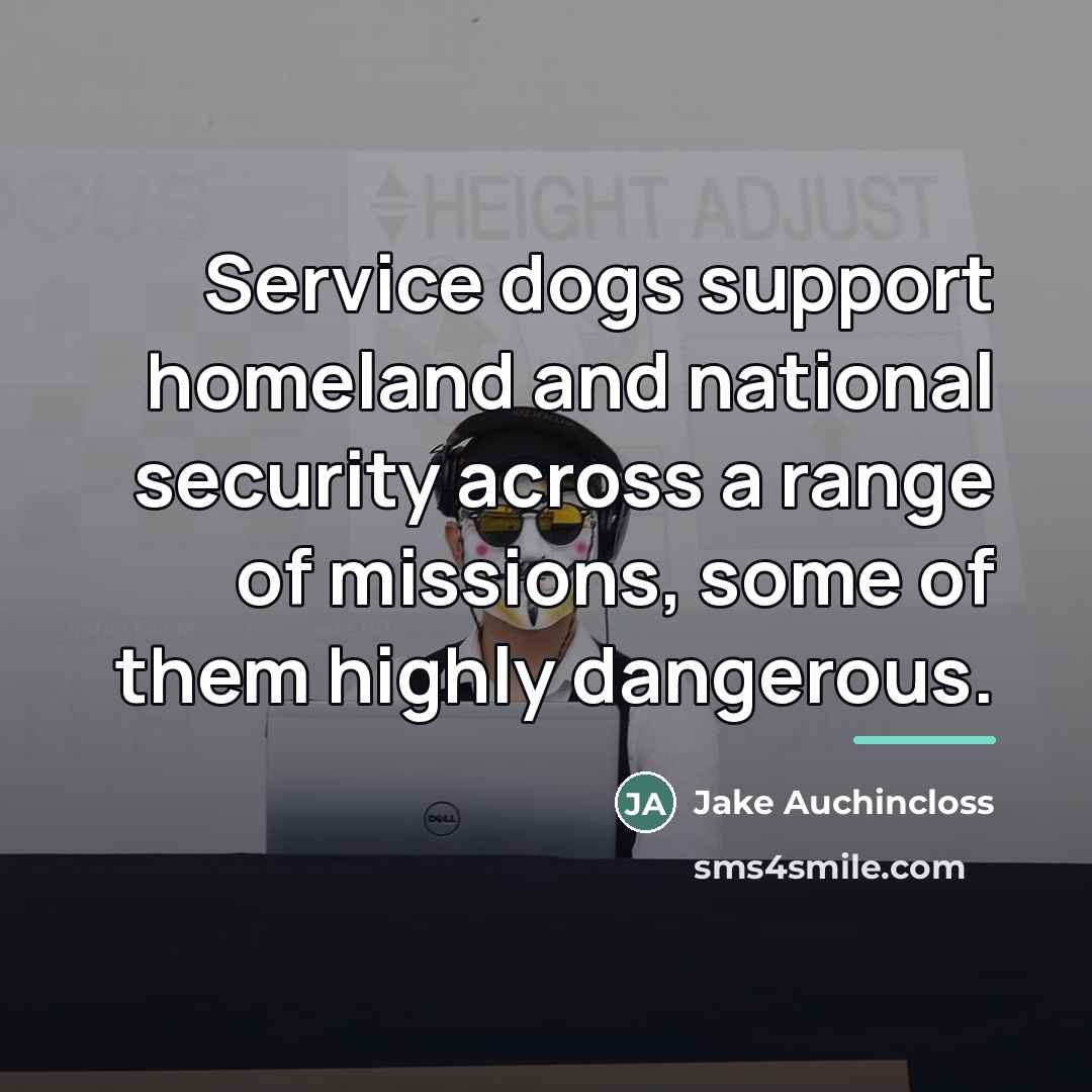“Service dogs support homeland and national security across a range…” quote by Jake Auchincloss