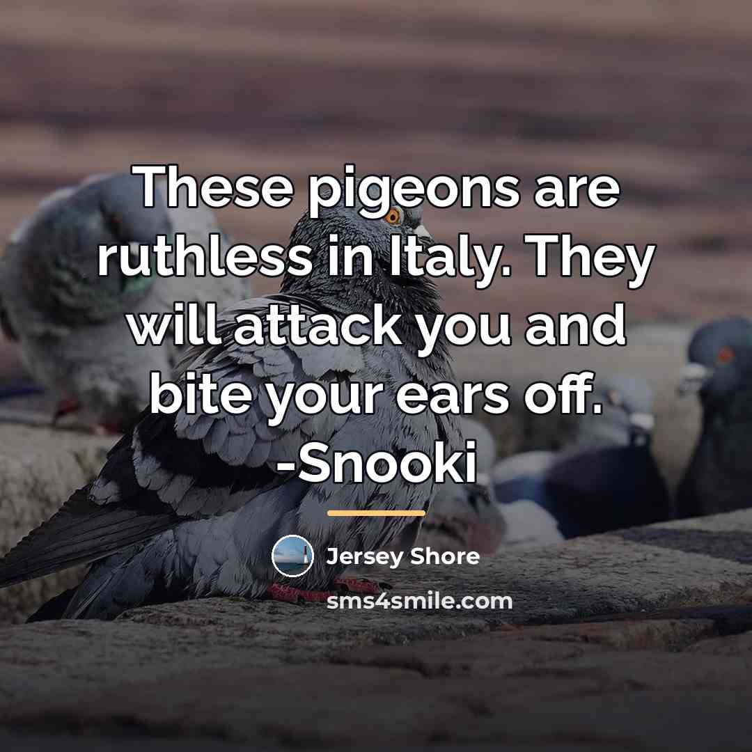 “These pigeons are ruthless in Italy. They will attack you…” quote by Jersey Shore