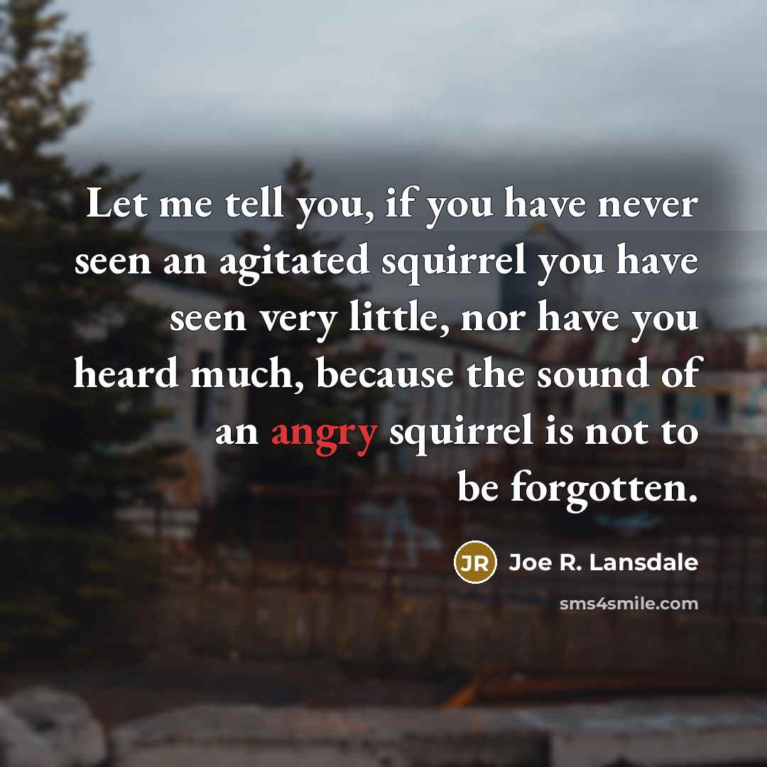 “Let me tell you, if you have never seen an…” quote by Joe R. Lansdale