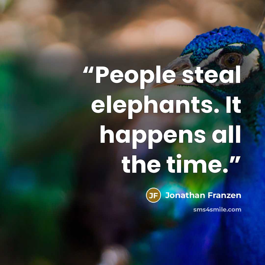 “People steal elephants. It happens all the time.” quote by Jonathan Franzen