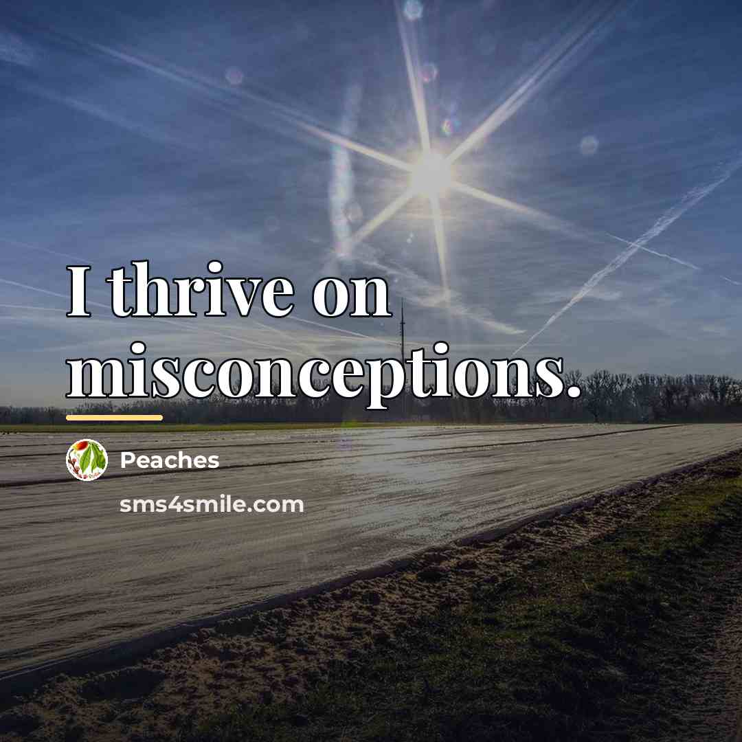 “I thrive on misconceptions.…” quote by Peaches