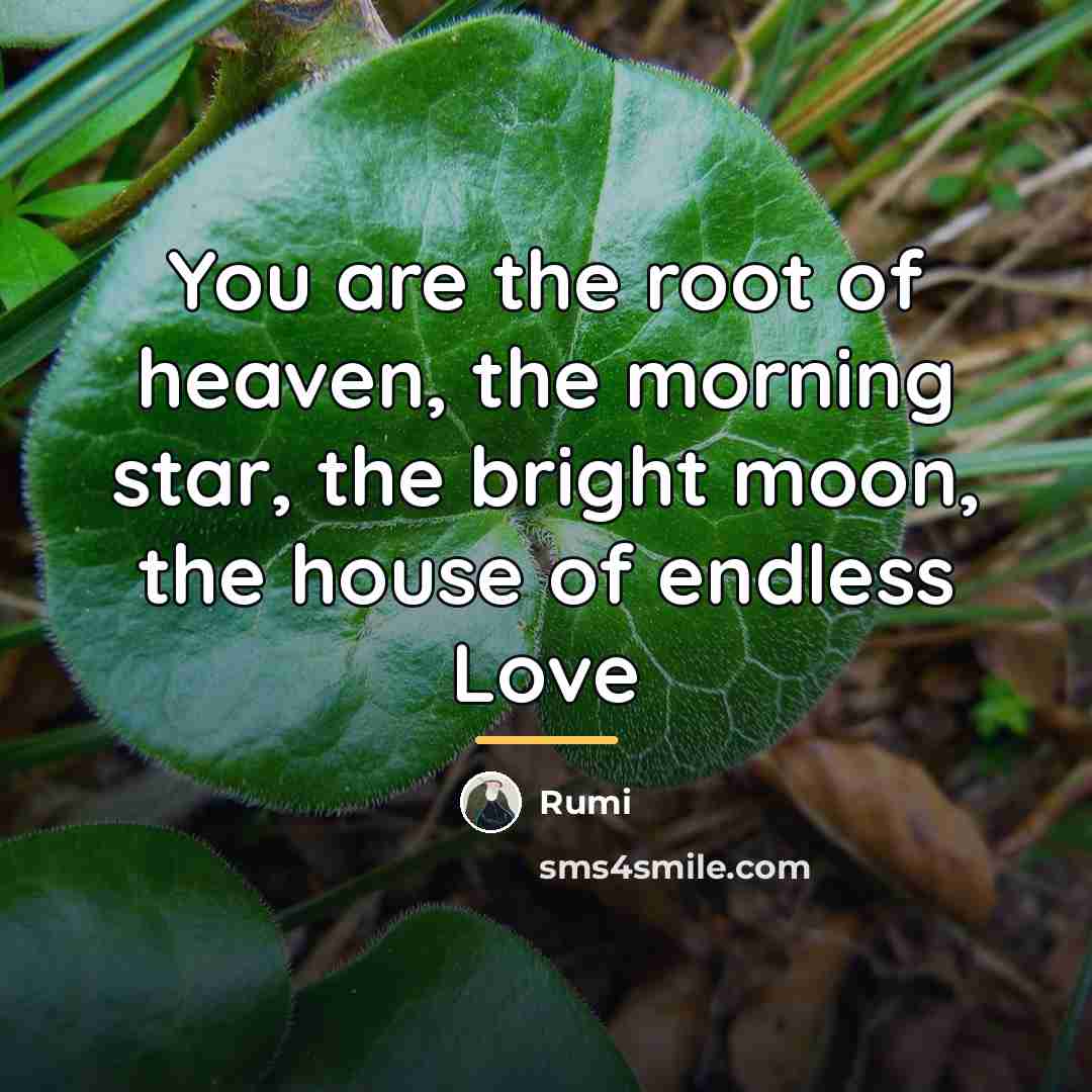 “You are the root of heaven, the morning star, the…” quote by Rumi