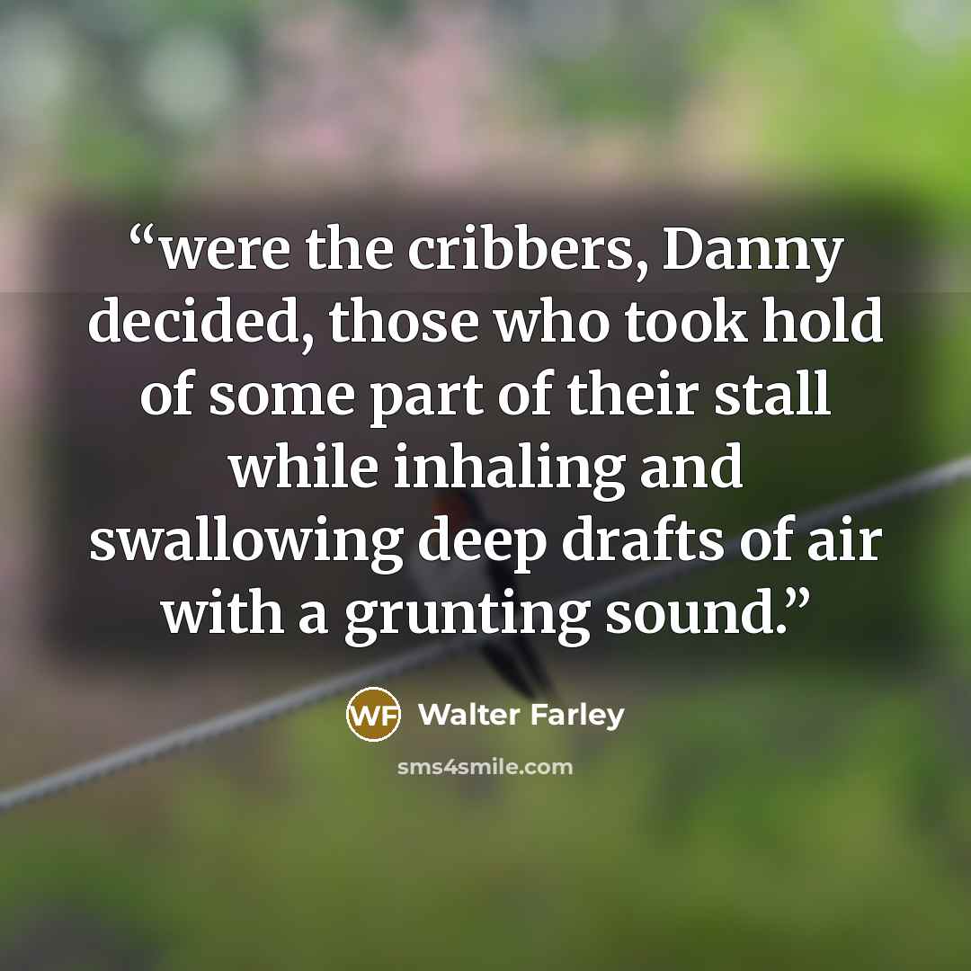 “were the cribbers, Danny decided, those who took hold of some part of their stall while inhaling and swallowing deep drafts of air with a grunting sound.” quote by Walter Farley