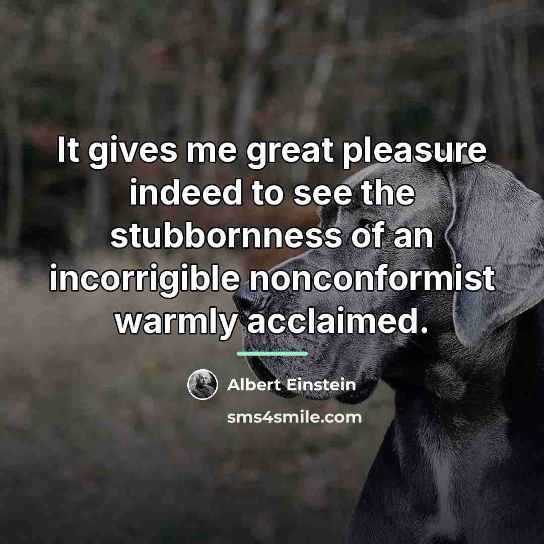 “It gives me great pleasure indeed to see the stubbornness…” quote by Albert Einstein