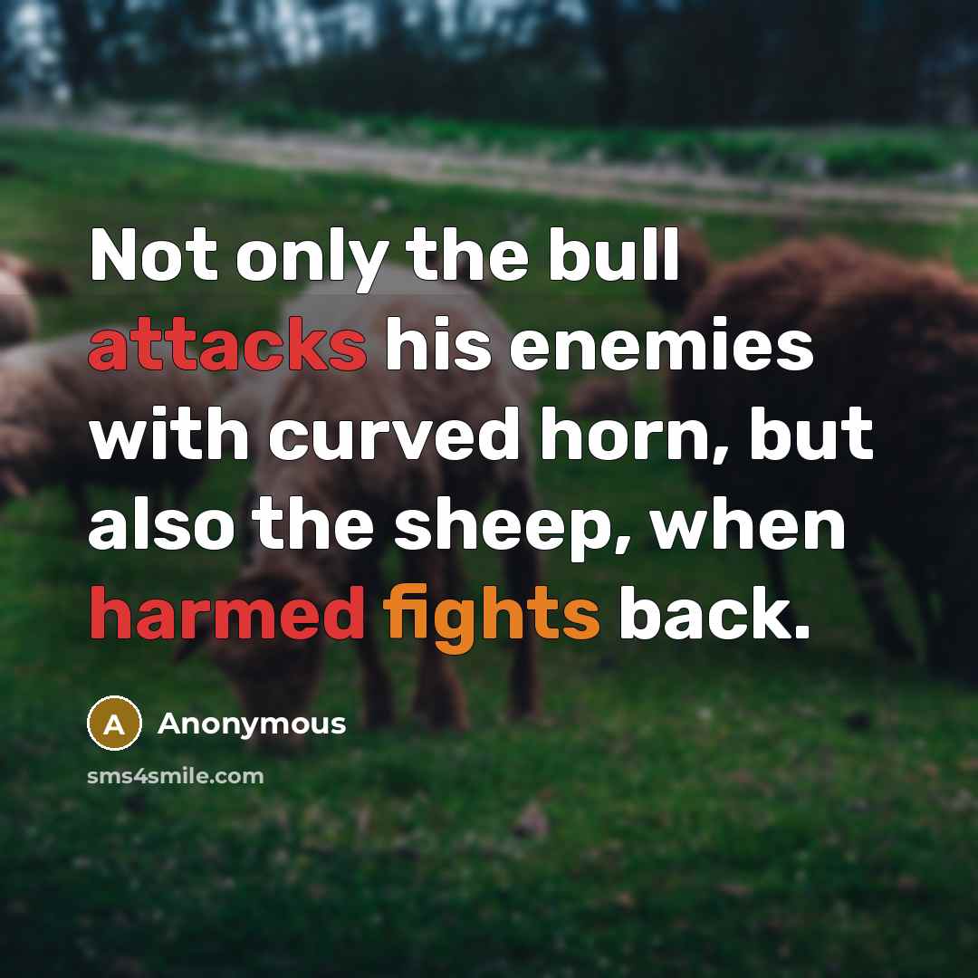 “Not only the bull attacks his enemies with curved horn, but also the sheep, when harmed fights back.” quote by Anonymous