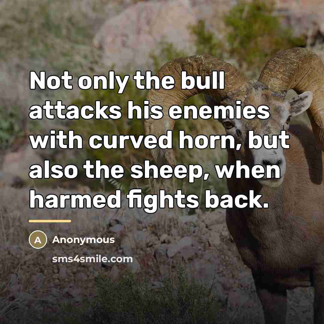 “Not only the bull attacks his enemies with curved horn,…” quote by Anonymous