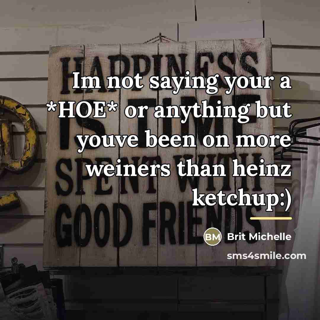 “Im not saying your a *HOE* or anything but youve…” quote by Brit Michelle