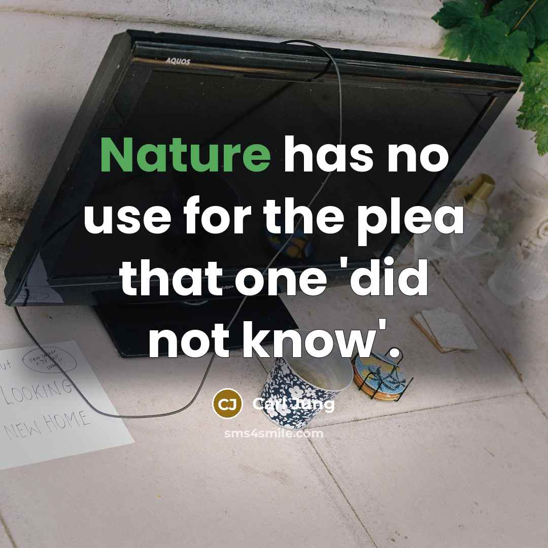 “Nature has no use for the plea that one 'did not know'.” quote by Carl Jung