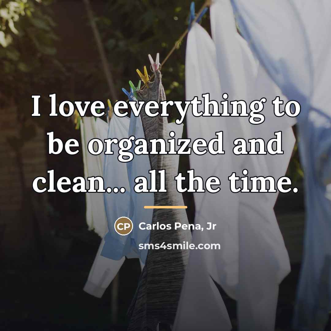 “I love everything to be organized and clean... all the…” quote by Carlos Pena, Jr