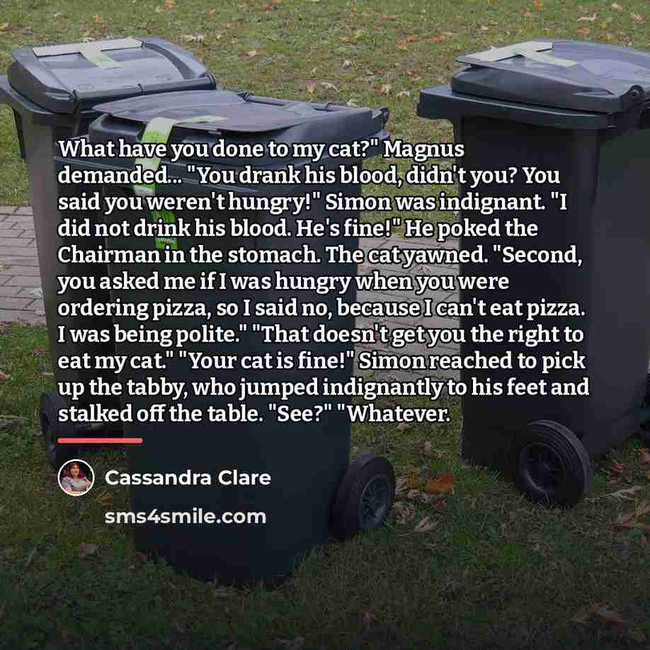 “What have you done to my cat?" Magnus demanded... "You…” quote by Cassandra Clare