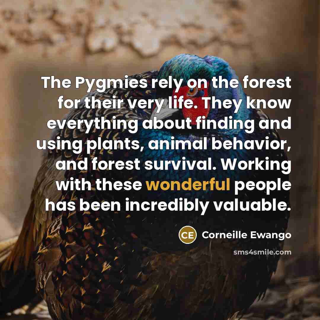 “The Pygmies rely on the forest for their very life.…” quote by Corneille Ewango