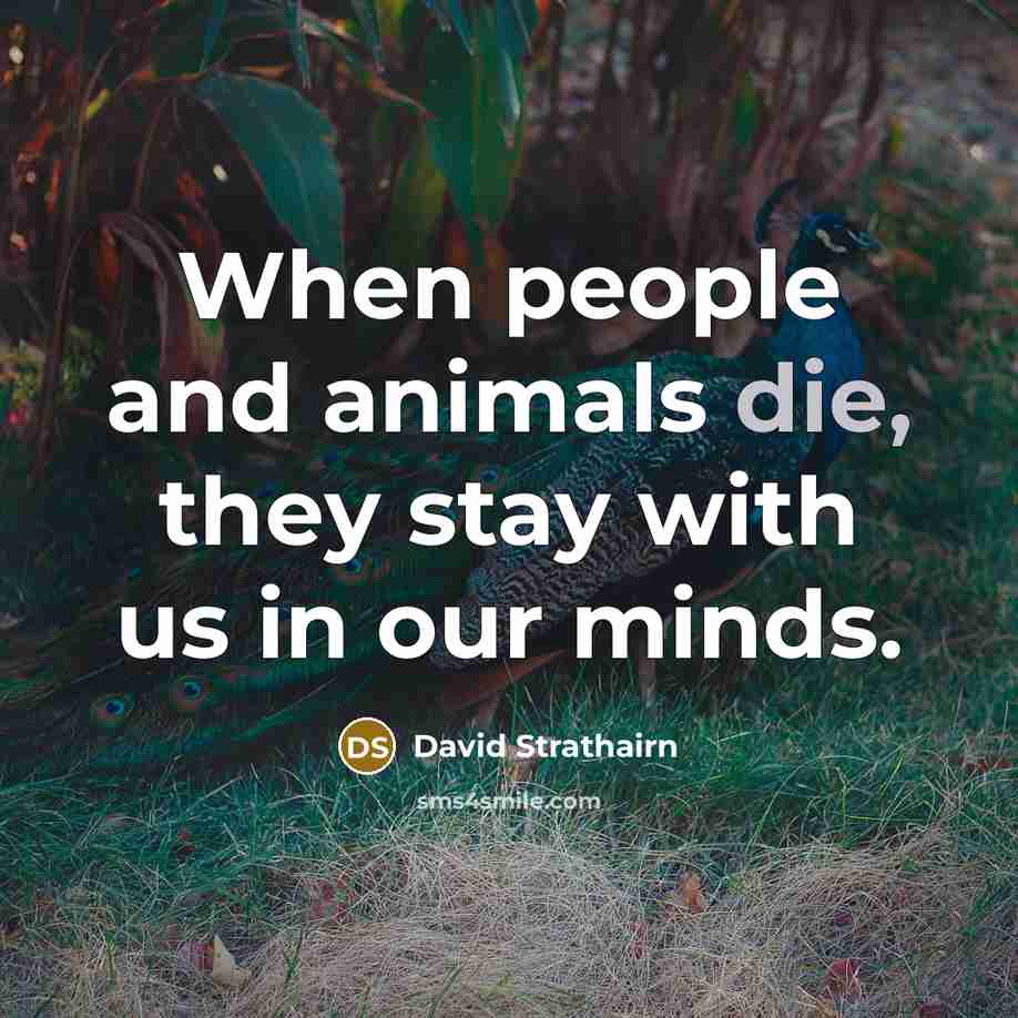 “When people and animals die, they stay with us in…” quote by David Strathairn