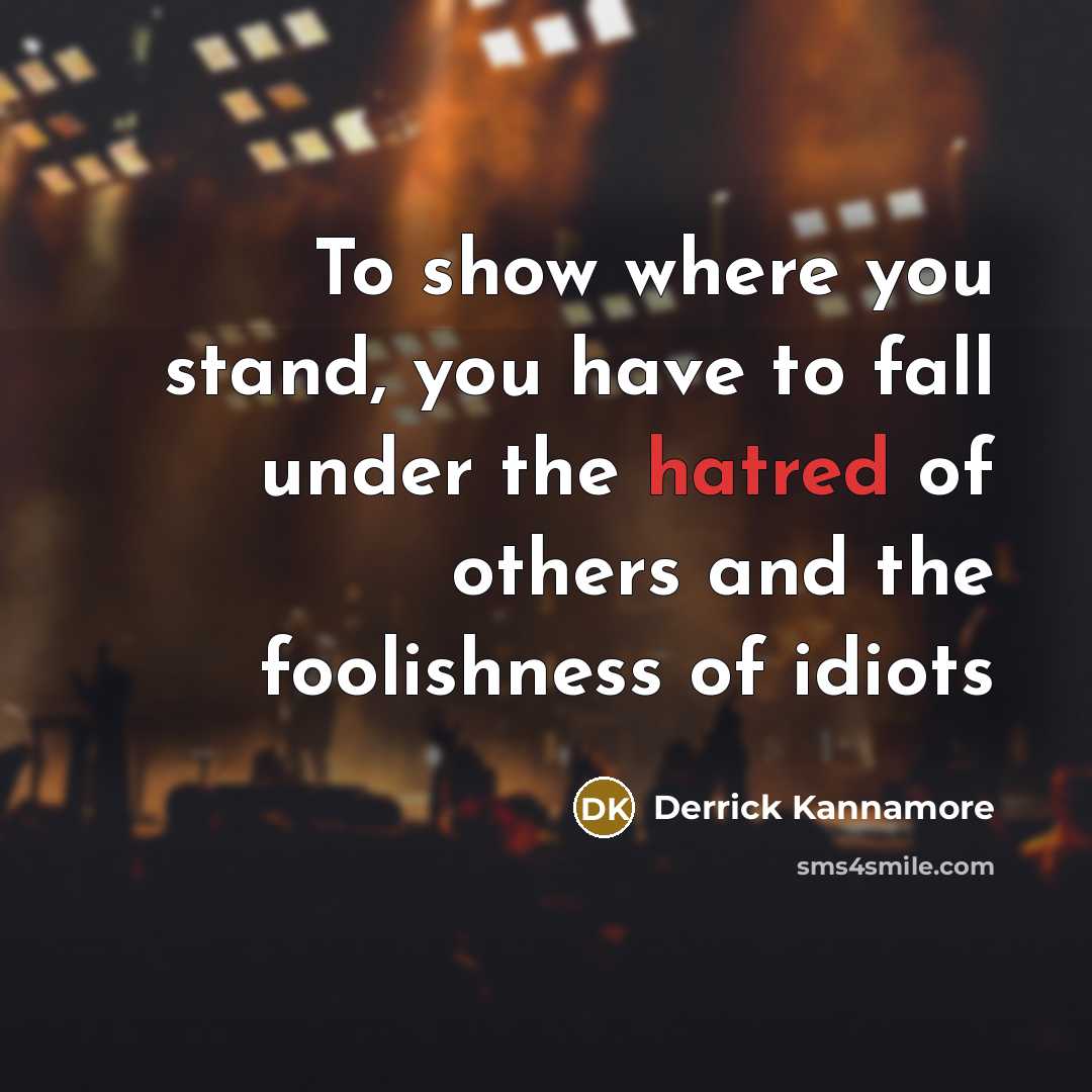 “To show where you stand, you have to fall under the hatred of others and the foolishness of idiots” quote by Derrick Kannamore