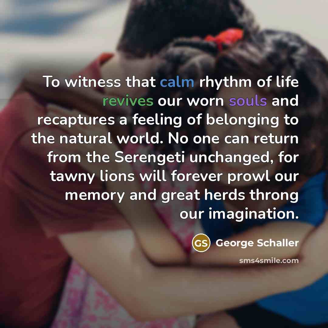 “To witness that calm rhythm of life revives our worn…” quote by George Schaller