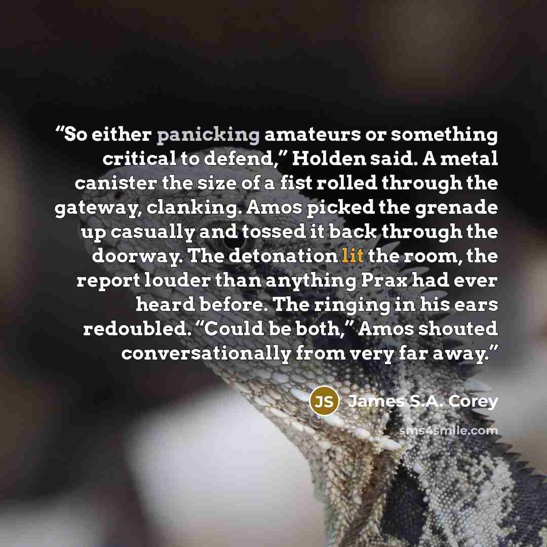 “So either panicking amateurs or something critical to defend,” Holden said. A metal canister the size of a fist rolled through the gateway, clanking. Amos picked the grenade up casually and tossed it back through the doorway. The detonation lit the room, the report louder than anything Prax had…” quote by James S.A. Corey