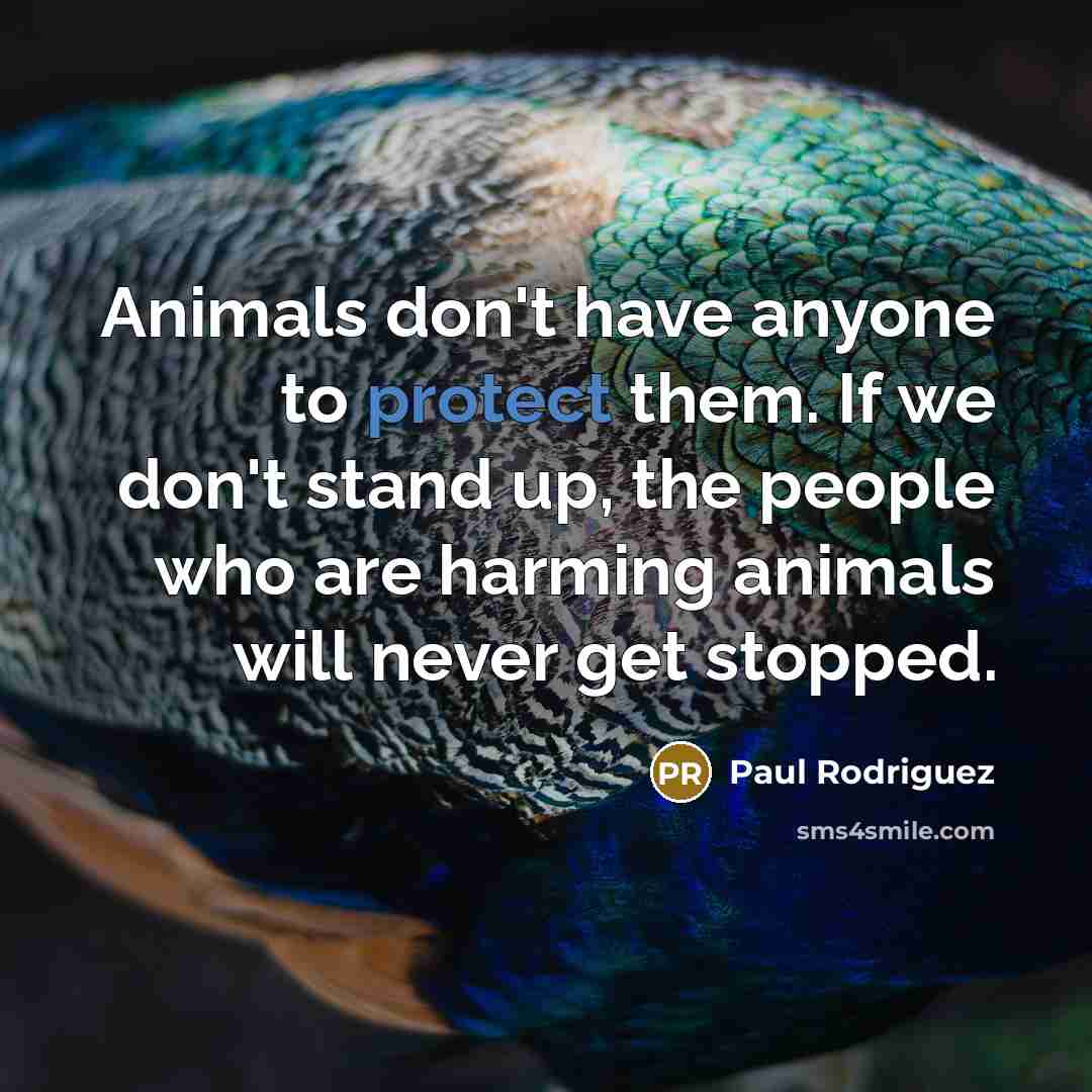 “Animals don't have anyone to protect them. If we don't…” quote by Paul Rodriguez