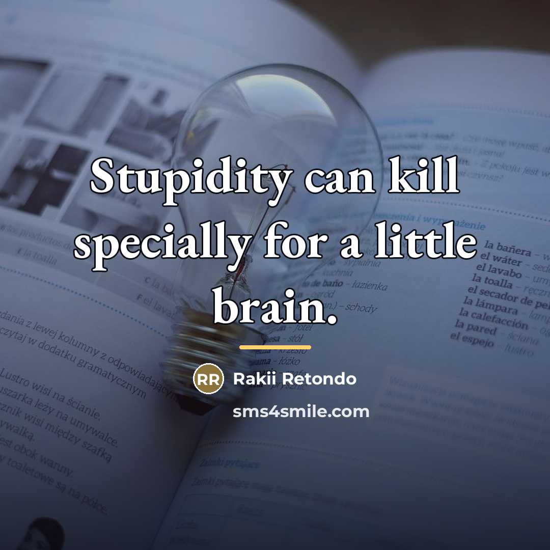 “Stupidity can kill specially for a little brain.…” quote by Rakii Retondo