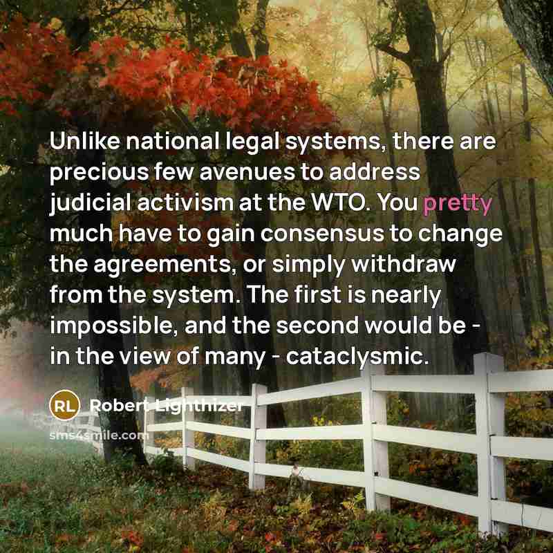 “Unlike national legal systems, there are precious few avenues to…” quote by Robert Lighthizer