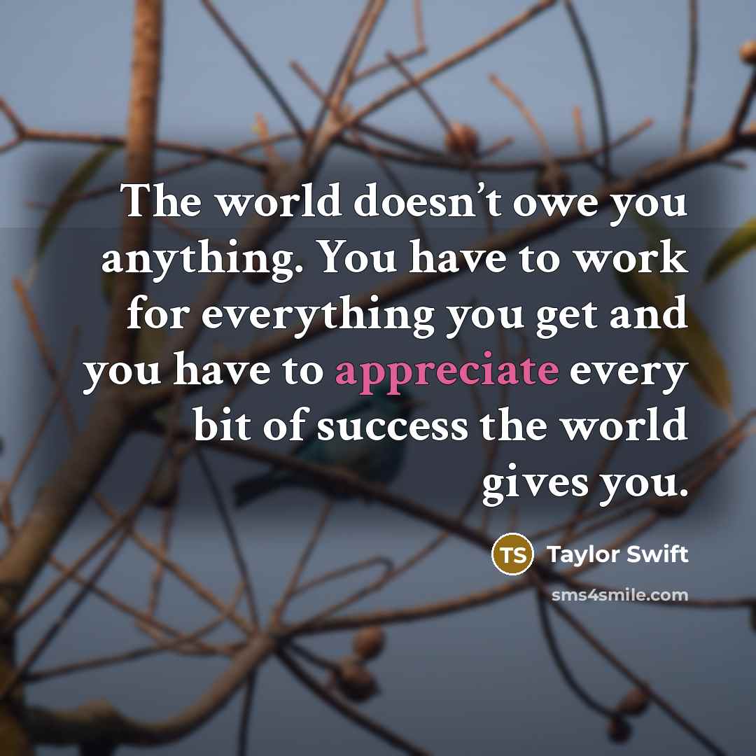 “The world doesn’t owe you anything. You have to work…” quote by Taylor Swift
