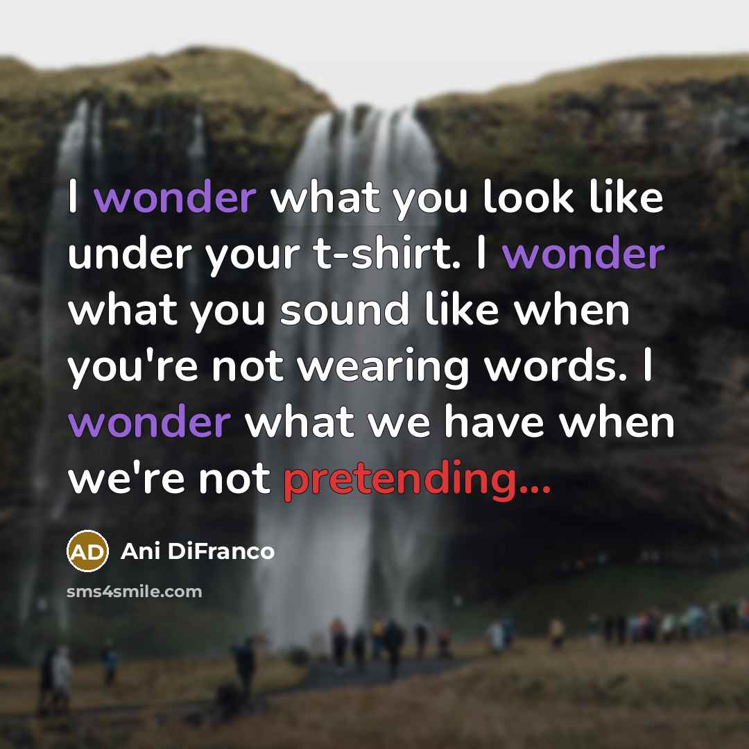 “I wonder what you look like under your t-shirt. I…” quote by Ani DiFranco