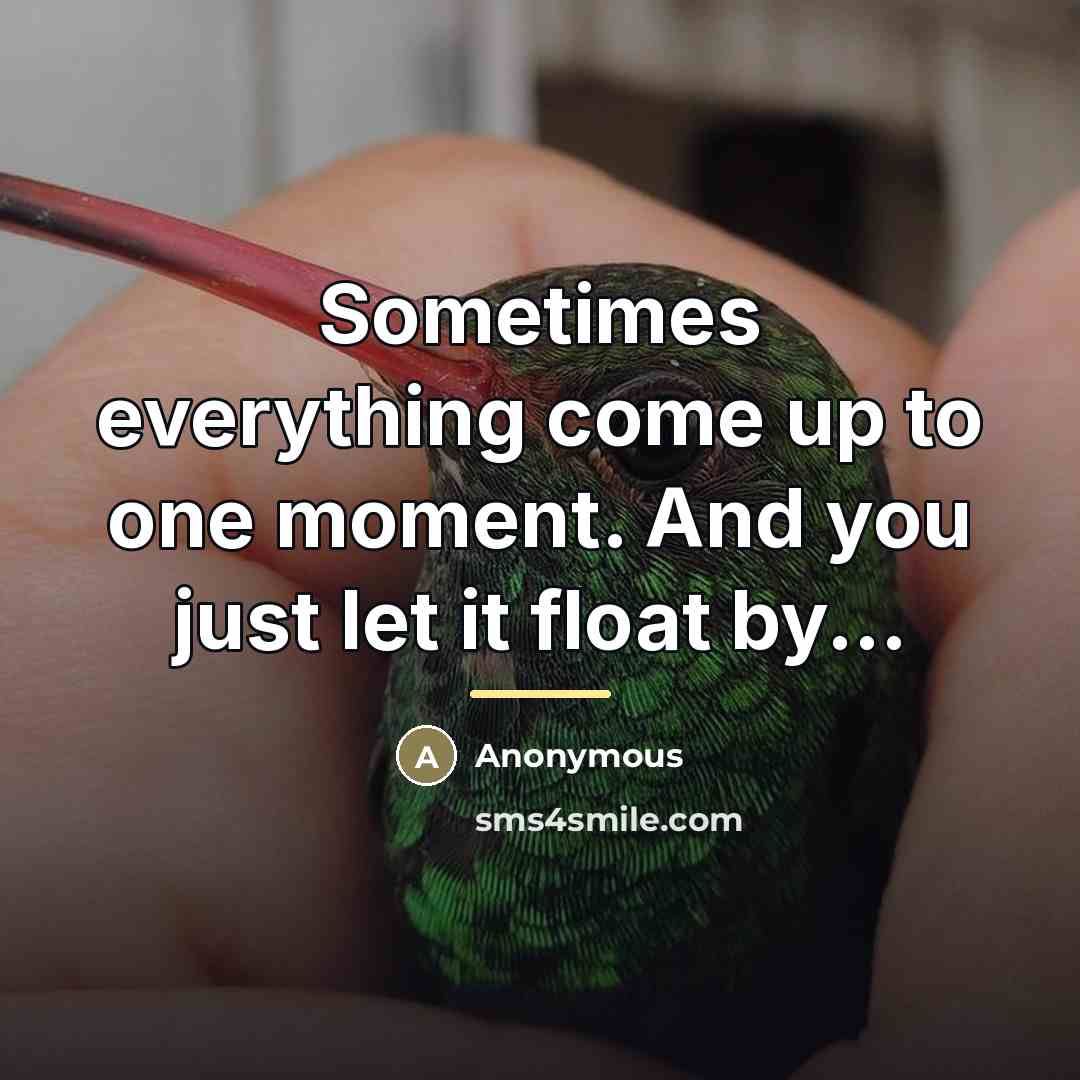 “Sometimes everything come up to one moment. And you just let it float by...” quote by Anonymous