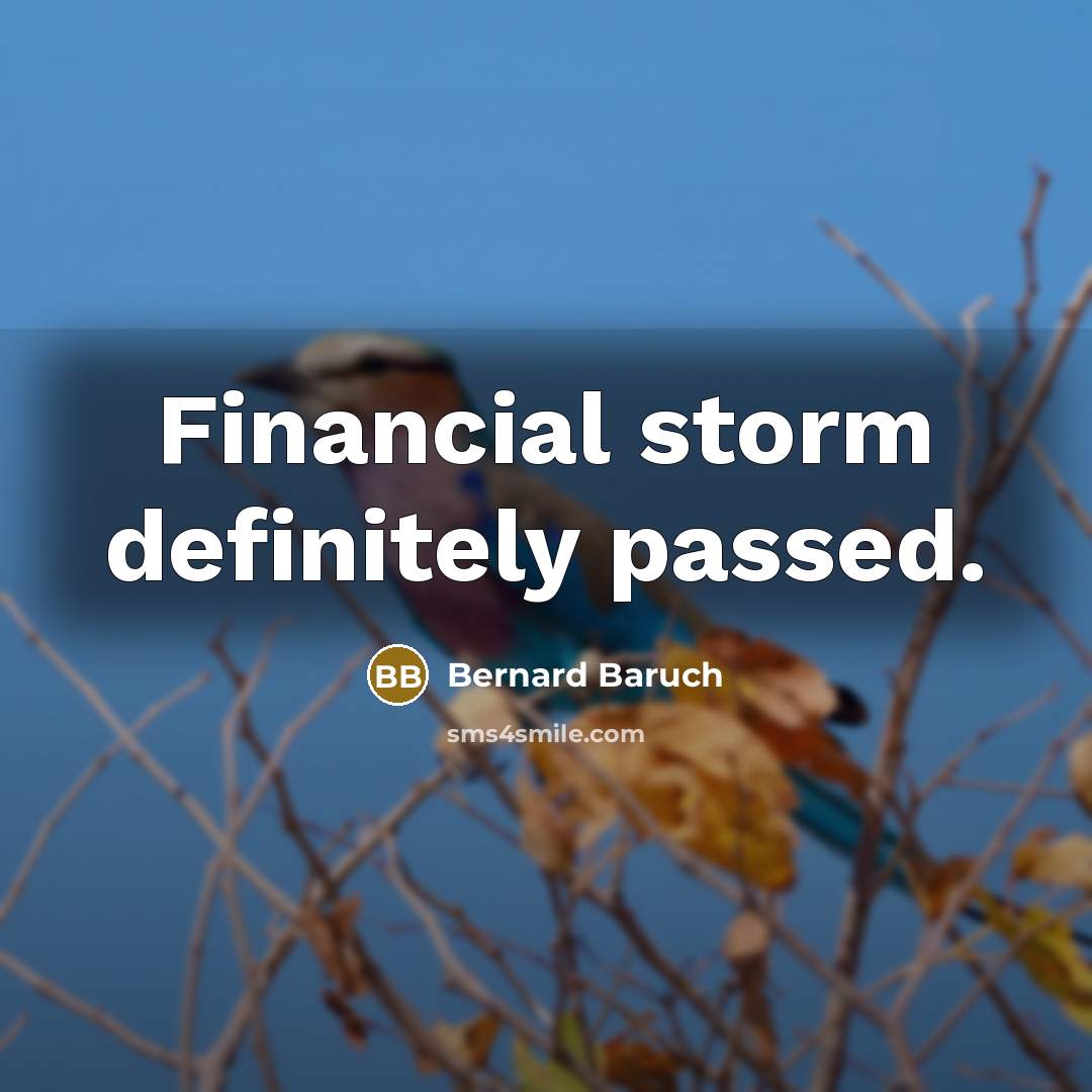 “Financial storm definitely passed.…” quote by Bernard Baruch