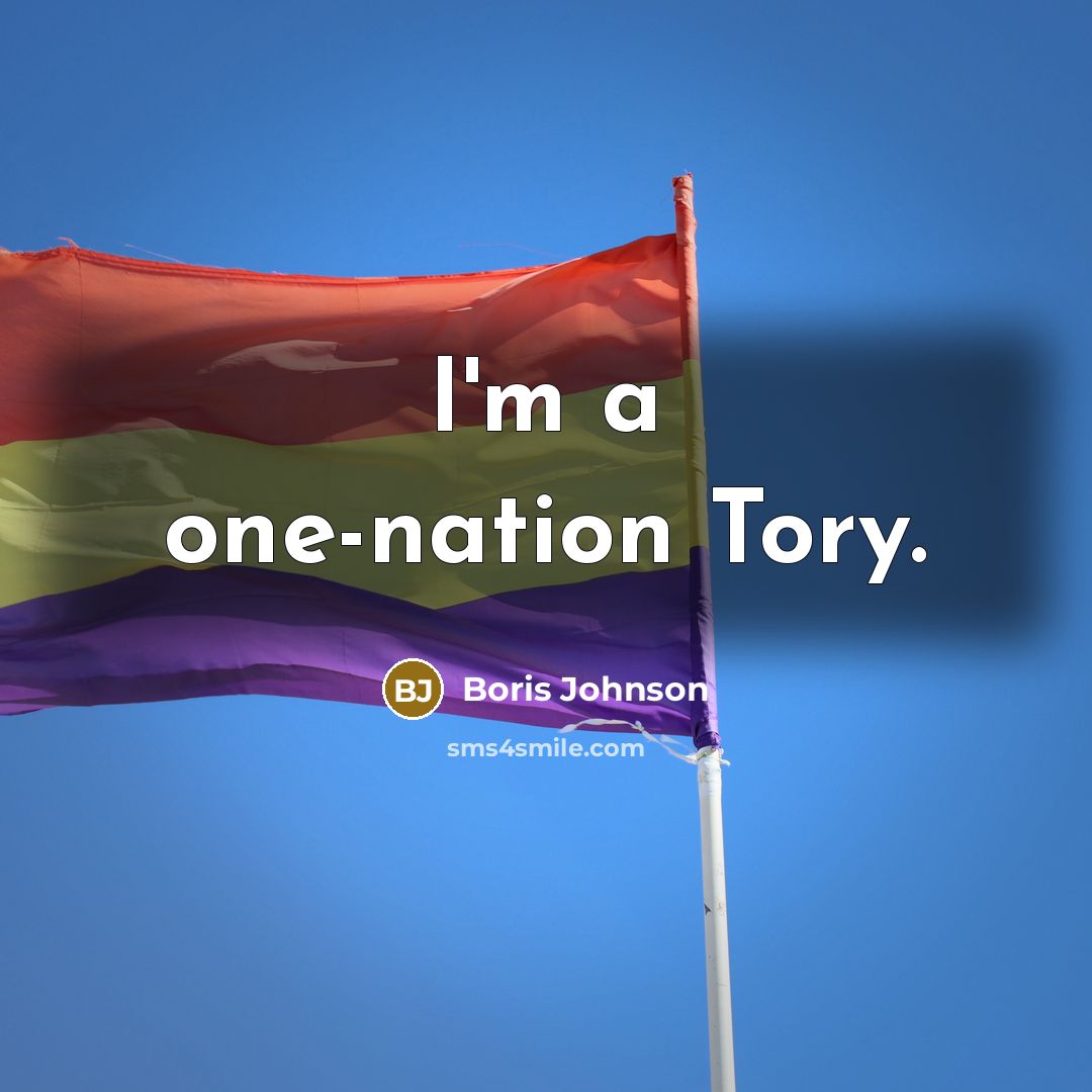 “I'm a one-nation Tory.” quote by Boris Johnson