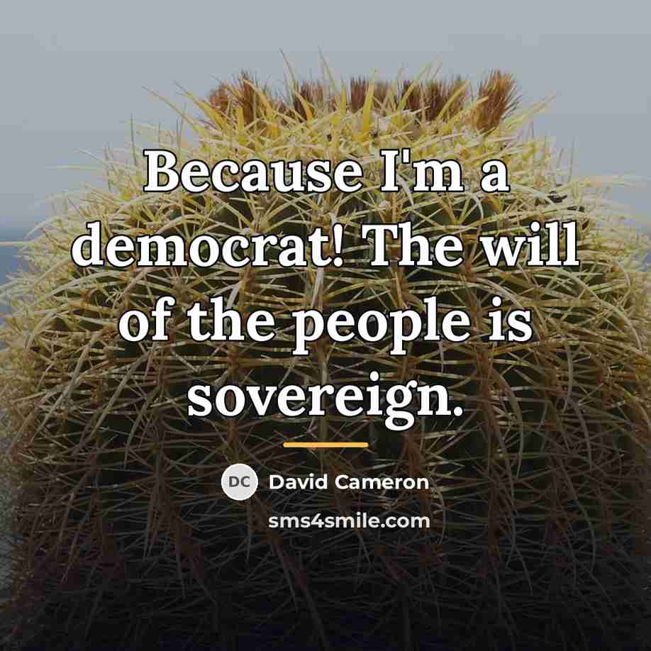“Because I'm a democrat! The will of the people is…” quote by David Cameron